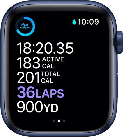 Apple Watch Liquidationspaletten Deutschland