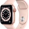Apple Watch Liquidationspaletten Deutschland