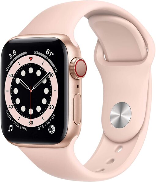 Apple Watch Liquidationspaletten Deutschland